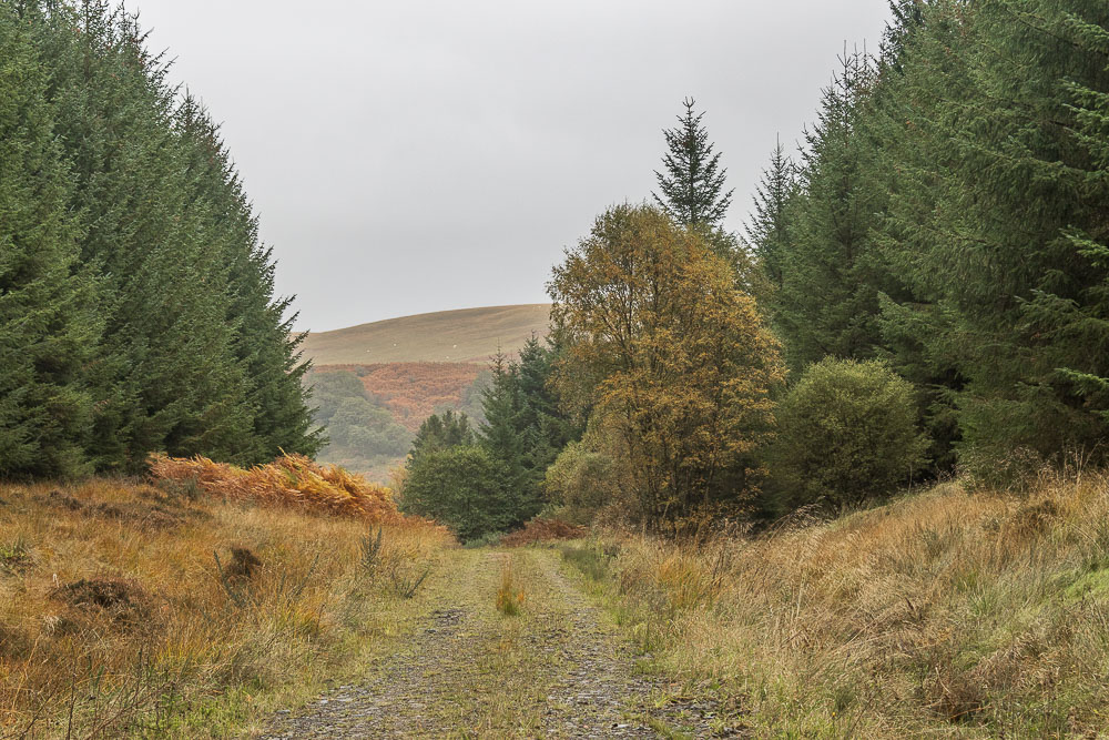 Miller Hill
